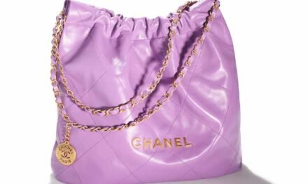 Nuevo bolso Chanel 22 Bag